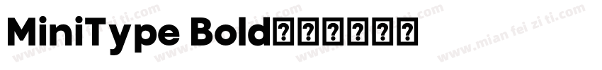 MiniType Bold字体转换